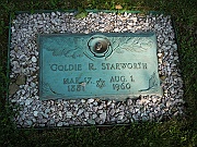 STARWORTH-Goldie-R