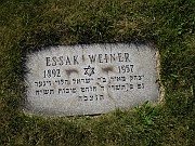 WEINER-Essak