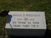 WHITEMAN-Mollie-R
