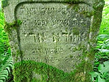 Holiatyn-Cemetery-stone-021