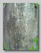 Holubyne-Cemetery-stone-520