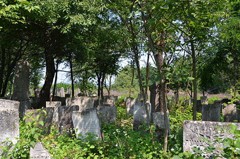 Older gravestones beneath the trees