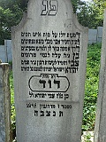 Irshava-Cemetery-stone-071