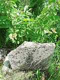 Khust-1-tombstone-renamed-2296