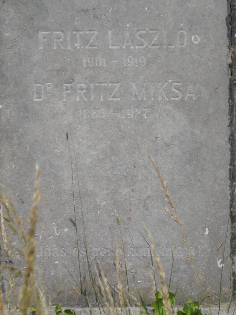 laszlo and
                  miksa fritz