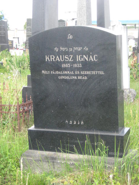 Ignac
                  Krausz