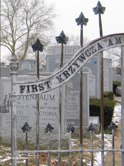 First
                  Krzywcza Cemetery Gate