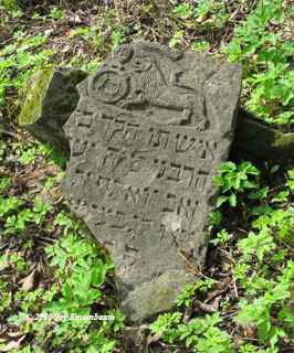 GRavestone in Krzywcza Jewish Cemetery