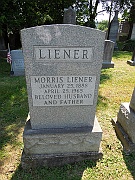 Liener-Morris