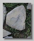 Munkacs-Cemetery-stone-081