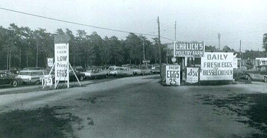 Farm
                      Crossroads 1960
