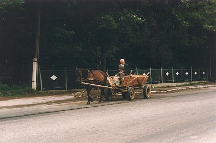 horsecart