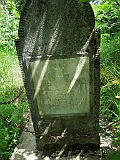 Novoselytsya Sosfalu-tombstone-01