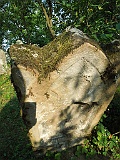 Nyzhnya-Apsha-tombstone-054