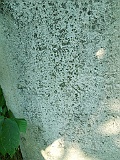 Nyzhnya-Apsha-tombstone-100