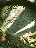 Nyzhnya-Apsha-tombstone-153