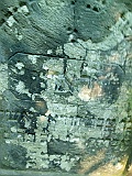 Nyzhnya-Apsha-tombstone-180