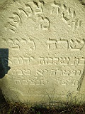 Nyzhnya-Apsha-tombstone-190