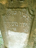 Nyzhnya-Apsha-tombstone-196