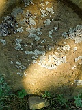 Nyzhnya-Apsha-tombstone-211