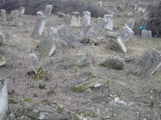 Old Graves 2