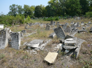 Old Grave 7