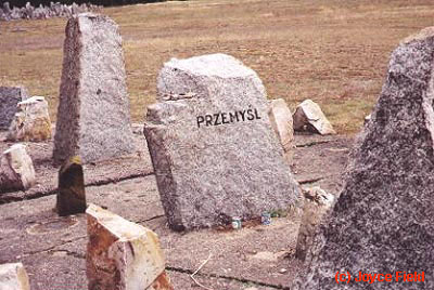 Przemyśl memorial stone in Treblinka