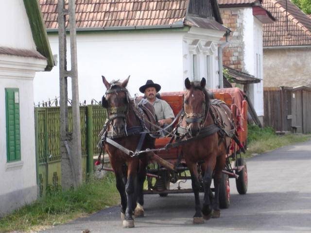 A horse-drawn cart on a village road