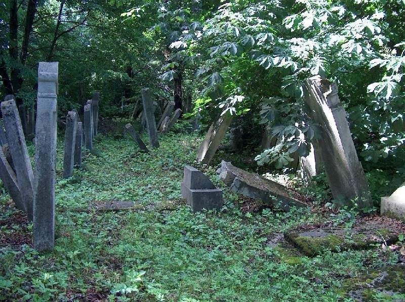 Overgrown headstones among trees