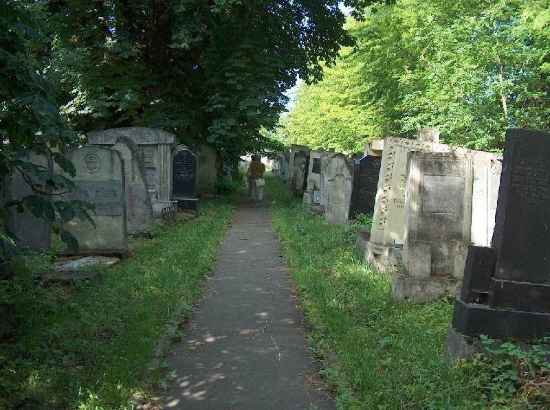 A paved path between rows of headstones
