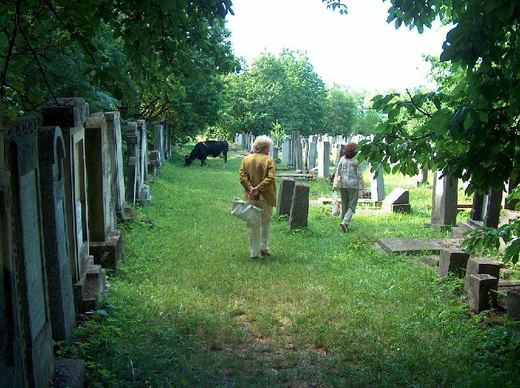 Visitors walking along a grassy path between graves