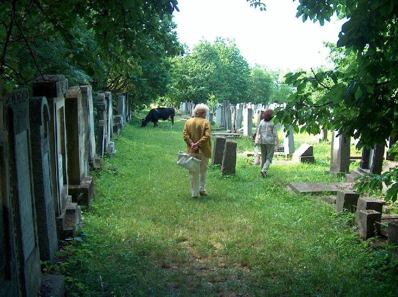 Visitors walking along a grassy path between graves