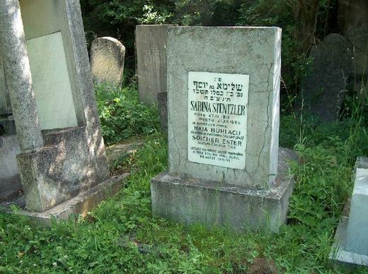 Headstone of Sabina Stenzler among the trees