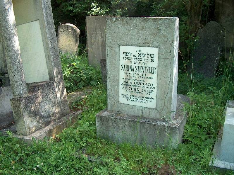 Headstone of Sabina Stenzler among the trees