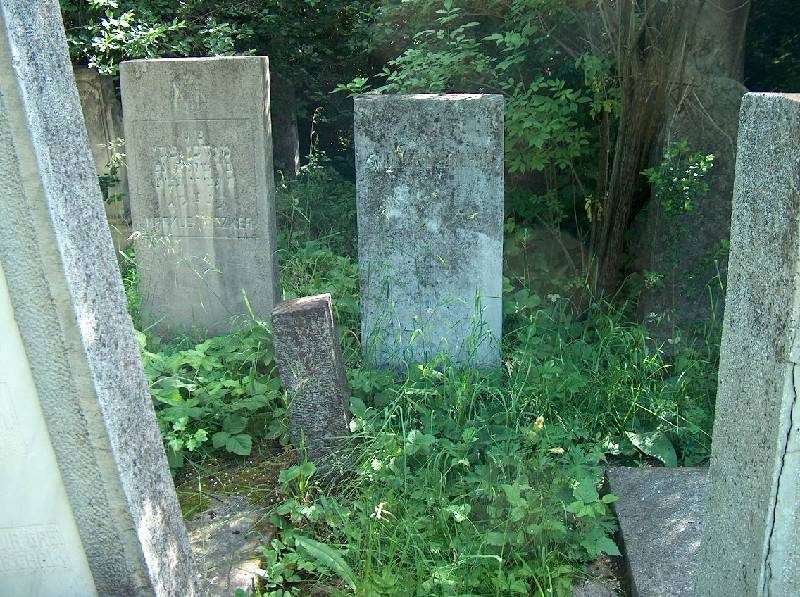 Weathered headstones in tall vegetation