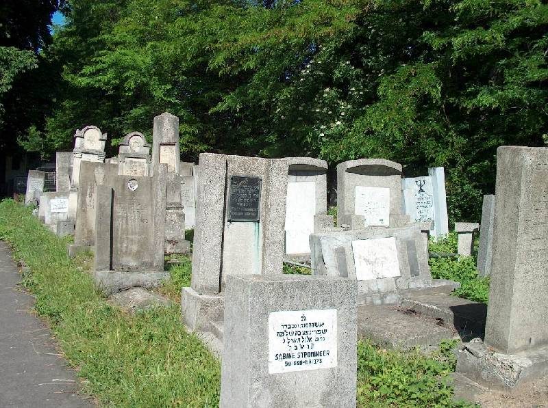 Rows of headstones beside a path