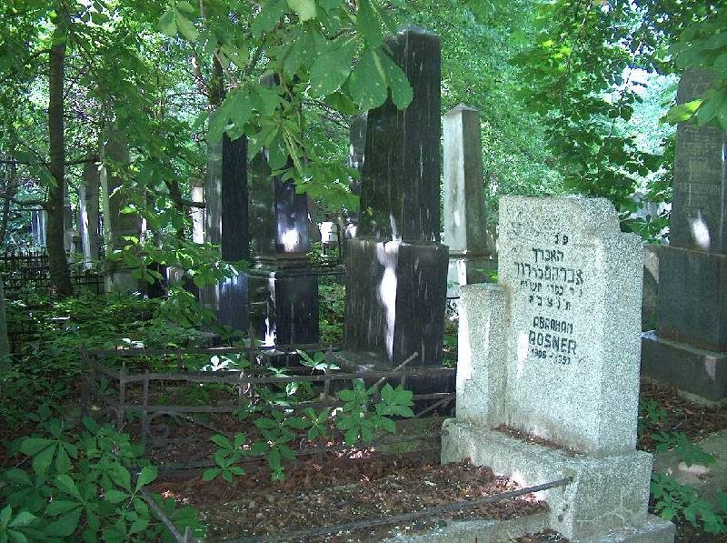 A headstone among dark stones and bushes