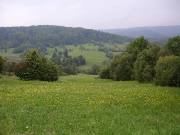 Rolling green hills and forest, Bukovina