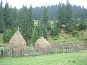 Haystacks in a fenced meadow, Vatra Moldoviţei