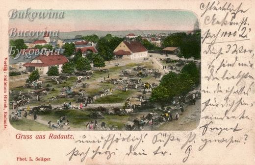 Coloured bird's-eye view of a large open market ground full of carts and horses, ringed by red-roofed houses