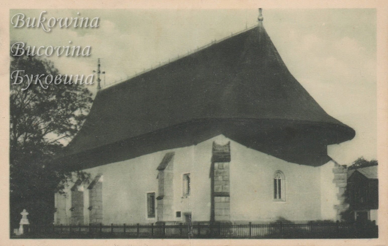 White-walled medieval church with stone buttresses under a huge dark flared roof, a fence and tree in front