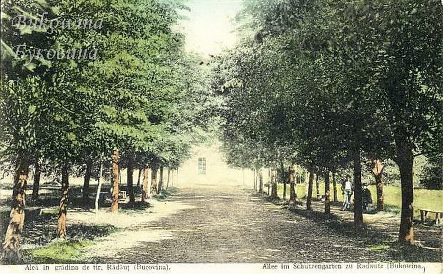 Coloured view of a shady avenue lined with trees leading to a pale building, two people seated at the right