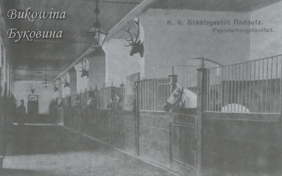 Interior of a long stable with horses in barred stalls, deer antlers on the walls and hanging lanterns
