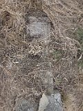 Radvanka-tombstone-21