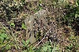 Ruski-Komarivtse-stone-099