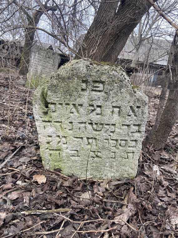 Hebrew matzevah among trees in the Old Cemetery at Savran