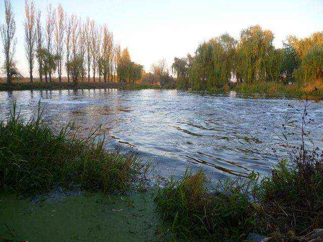 River landscape in the Savran area