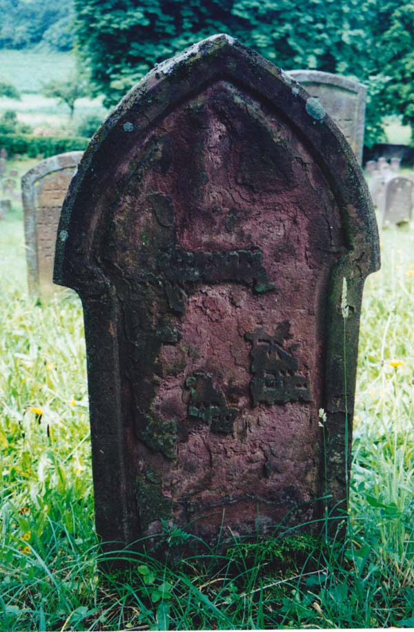 Rosina Bernheim Dreifuss headstone