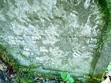 Shiroky-Luh-tombstone-46