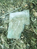 Shiroky-Luh-tombstone-59